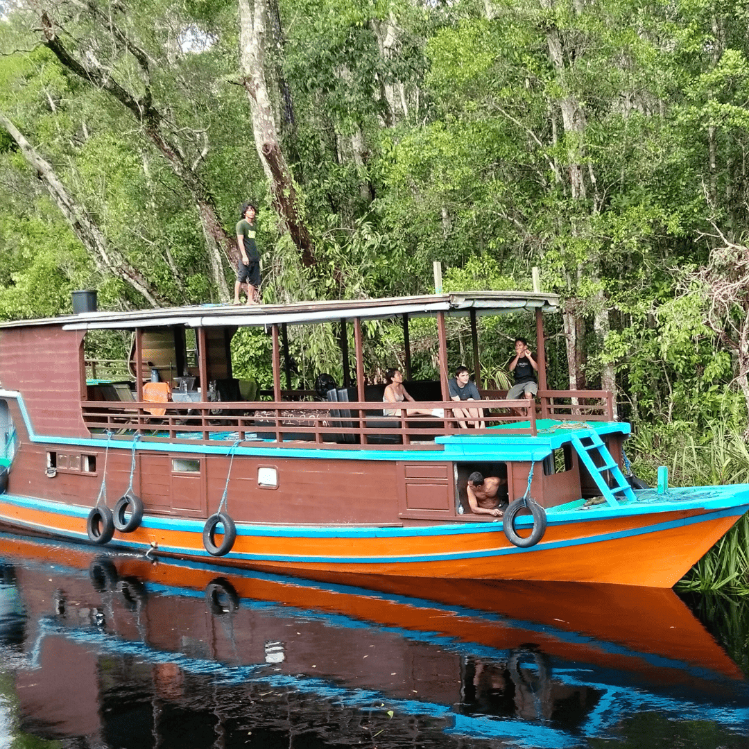 Klotok Boat Experience: Living on the River in Tanjung Puting