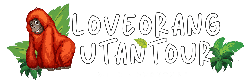 Love Orangutan Tour