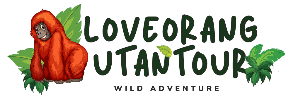 Love Orangutan Tour